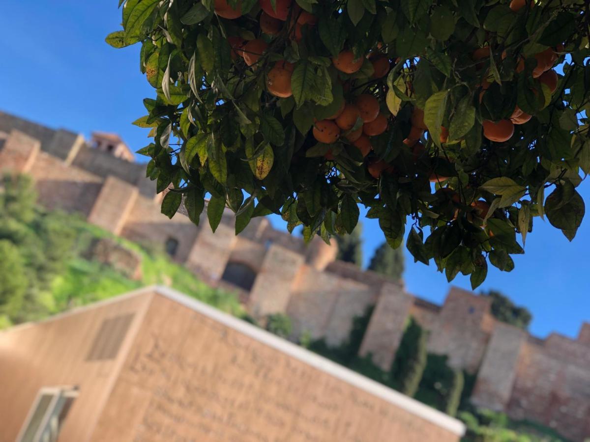 DL Patio Málaga Apartman Kültér fotó